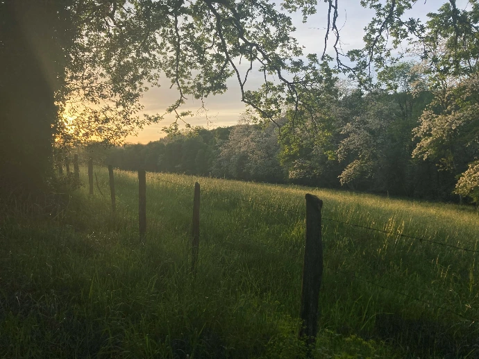 A field with a fence and trees in the background